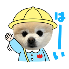 himari_20260502192336