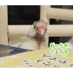 kokoro_20260502192531