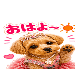 s_20260502193053