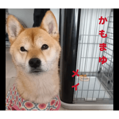 tono_20260502201251