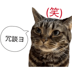 puntakun_to_sachiko_20260503211732
