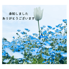 Nekono_20260502150539