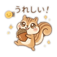 Lovely squirrel daily