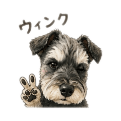 kenshiro_20260502200103
