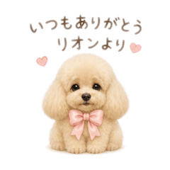 RION&ARICE_20260502200343