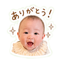momon_20260502200214