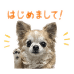Koto._20260502200539