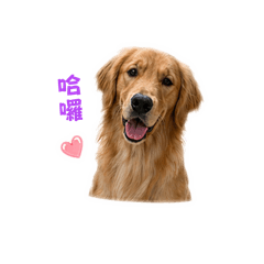 奶油·͜· ♡