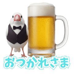 Surreal Java Sparrow: Gourmet & Daily