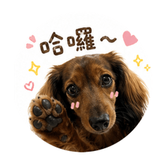 朱家三寶