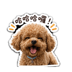 陳柏斯私密照