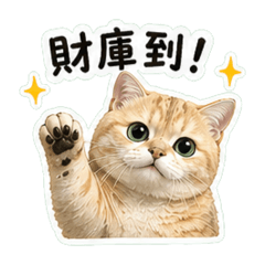 財庫日常貼圖第一彈