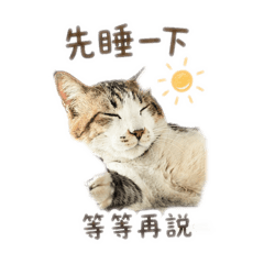圓圓2.0