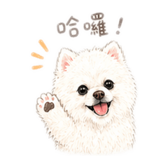 我家錢寶（Q版）