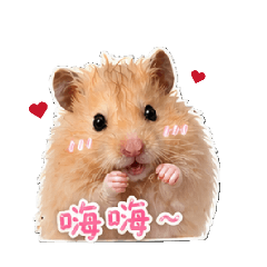 一隻肥拿鐵2