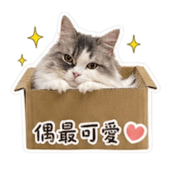 墨墨卡哇伊