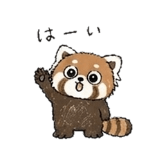 Heartwarming Red Panda Daily