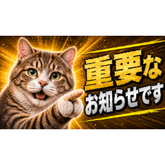 Photo-Style Cat Reaction Stickers