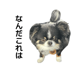 Ginga_20260430194641