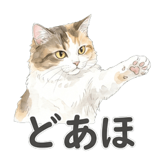 Kansai Calico Cat Reactions