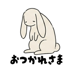 Liquid Rabbit Conversations