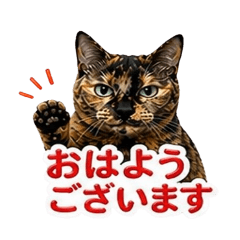 hiro_20260430203916