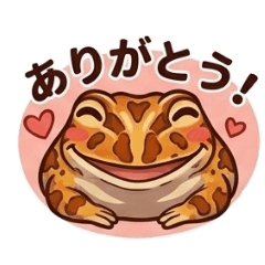 Pokkun_20260430212837