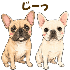 Fawn & Cream Frenchies_Reaction Stickers