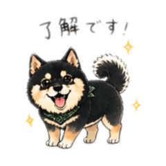 Hijikimaru(shiba)