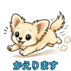 Fluffy Chihuahua Daily Stickers 2