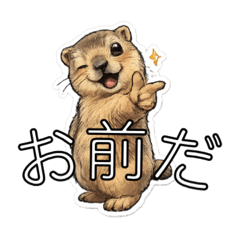 Funny & Chaotic Marmot Stickers
