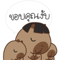 Cutepybara 2025