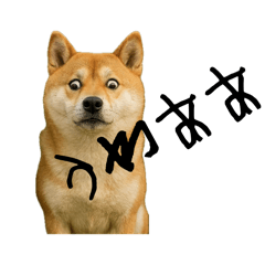 shogo_20260430214921