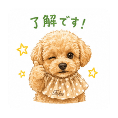 UTS.studio_20260430222548
