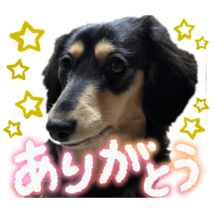 Marin_20260430215344