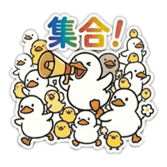 bibintyo_20260430223342