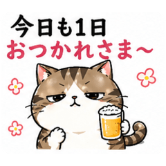 N family_20260430230951