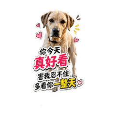 Kimoの撩妹語錄