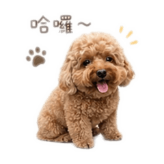 寶寶日常life