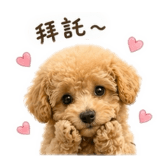 City的小日常