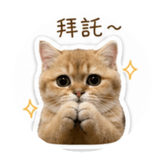 罵搜-