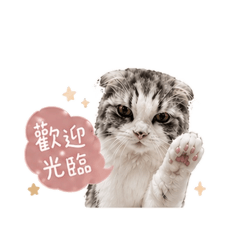 歐莉醬膩2