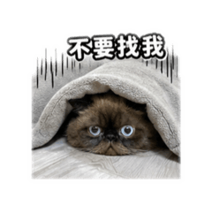 北爛囧