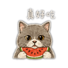 冬瓜喵～