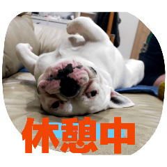haruku_20260502203712