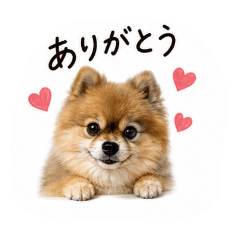shinji_20260502204300