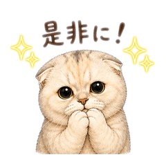 Yomuchan_20260502204506