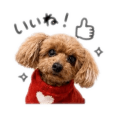 mugi_20260502203931