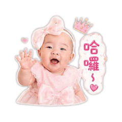 女鵝生活日常