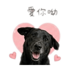 旺來 土基✨